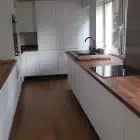 european walnut