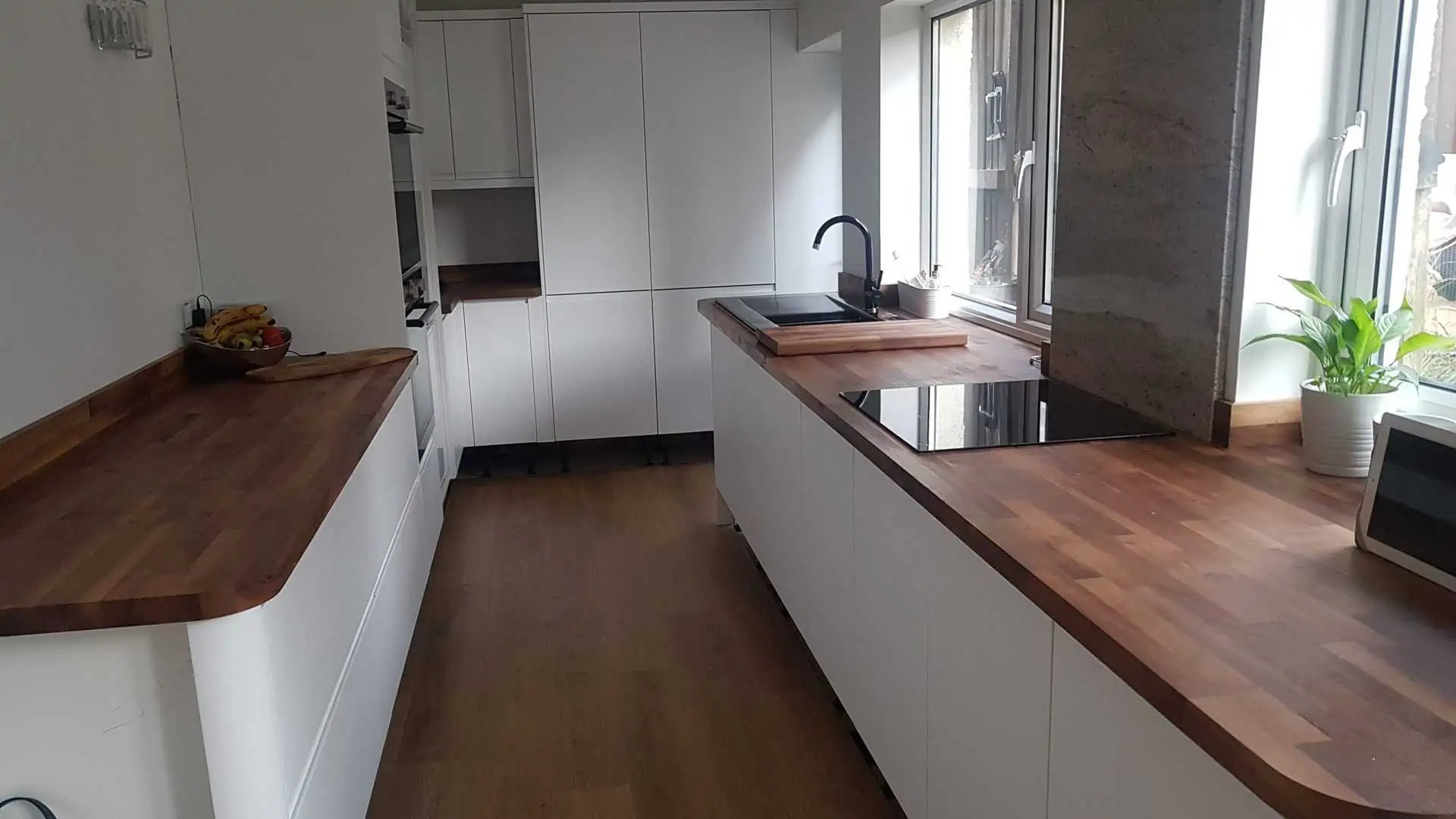 european walnut