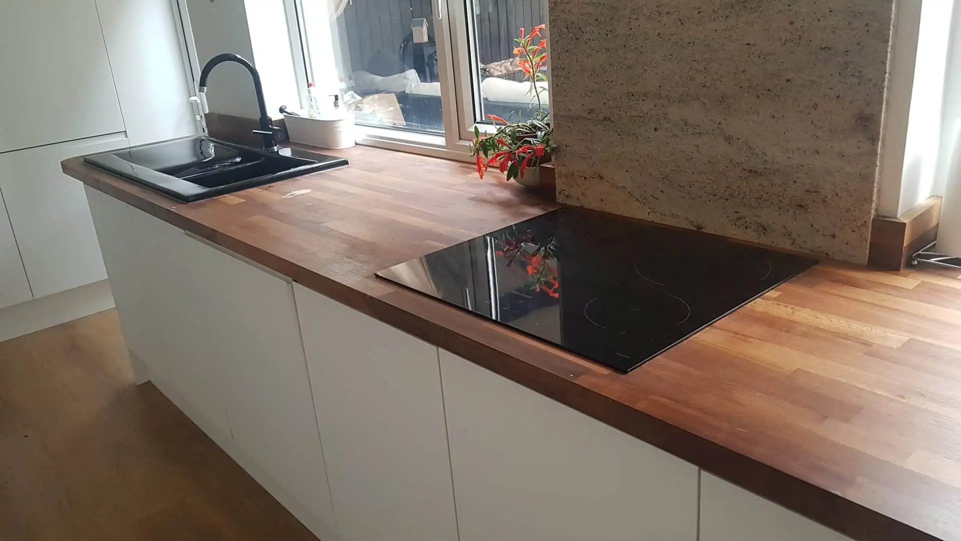european walnut